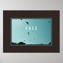 Vrije vogels in de lucht poster