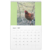 Vrije Waaier Kippen 2016 Kalender (Mar 2027)