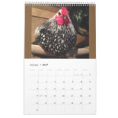 Vrije Waaier Kippen 2016 Kalender (Jan 2027)