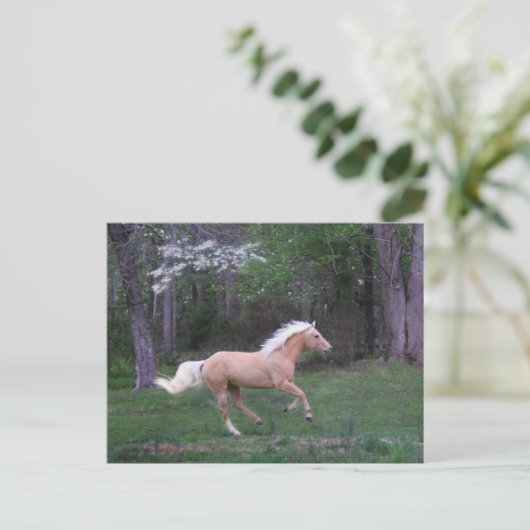 Vrije zorg briefkaart (Staand voorkant)