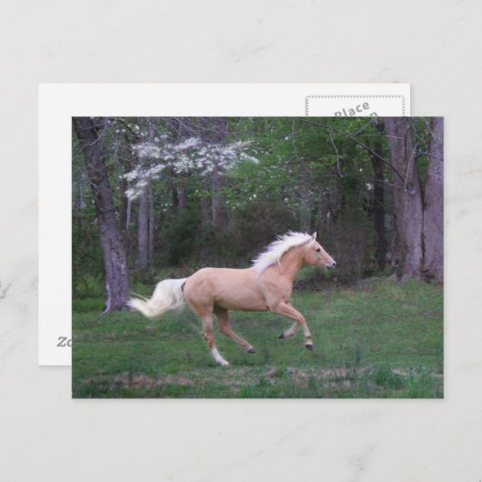 Vrije zorg briefkaart (Voorkant / Achterkant)