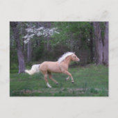 Vrije zorg briefkaart (Voorkant)