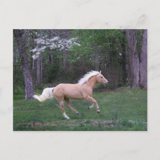 Vrije zorg briefkaart (Voorkant)