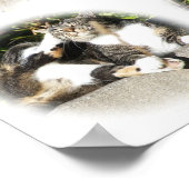 Vrijetijdsduur van een kat-collage afdrukken poster (Hoek)