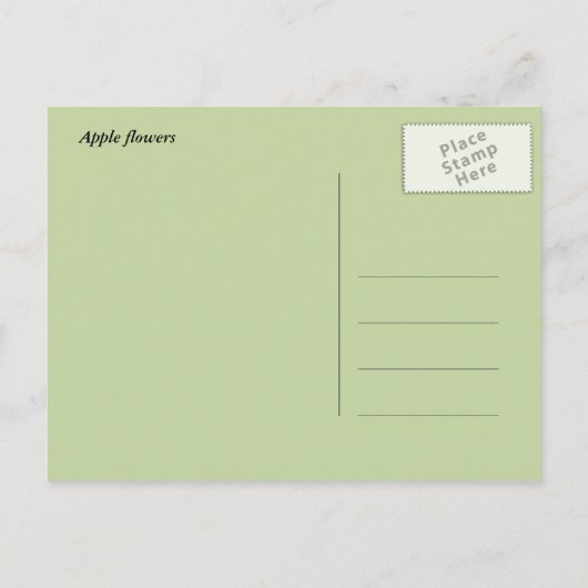 vrijgezellenfeest appelbloesem briefkaart (Achterkant)