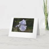 Vrijgezellenfeest BIue Iris uitnodigingen (Achterkant)