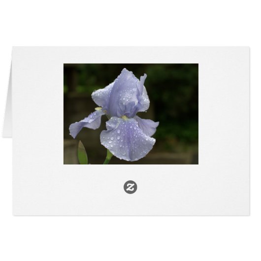 Vrijgezellenfeest Blue Iris Hartelijk dank voor le (Achterkant Horizontaal)