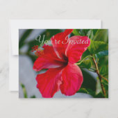  Vrijgezellenfeest Brunch Kaart (Achterkant)