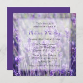 Vrijgezellenfeest Lavender Flowers Kaart (Voorkant / Achterkant)