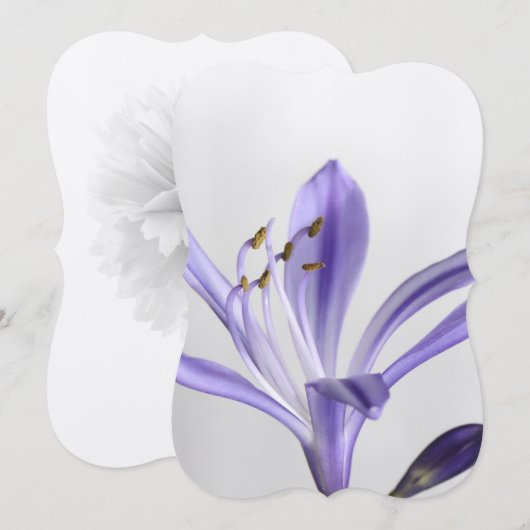 Vrijgezellenfeest Partij Destiny's Destiny Kaart (Voorkant / Achterkant)