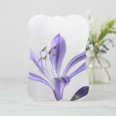 Vrijgezellenfeest Partij Destiny's Destiny Kaart (Staand voorkant)