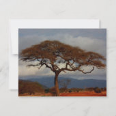 Vrijgezellenfeest Romantic Safari Africa Kaart (Achterkant)