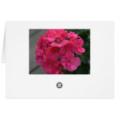 Vrijgezellenfeest Roos Geranium Dank u Blanco Kaar (Achterkant Horizontaal)