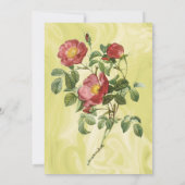 Vrijgezellenfeest, Roos van Liefde door Redoute Kaart (Achterkant)