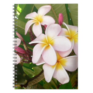 Vrijgezellenfeest van de Bloesems Frangipani van Notitieboek