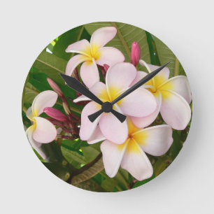 Vrijgezellenfeest van de Bloesems Frangipani van Ronde Klok