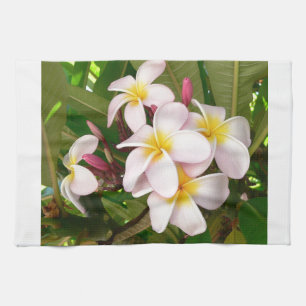 Vrijgezellenfeest van de Bloesems Frangipani van Theedoek