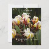 Vrijgezellenfeest van Frangipani Kaart (Voorkant)