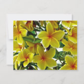 Vrijgezellenfeest van Frangipani Kaart (Achterkant)