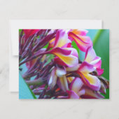 Vrijgezellenfeest van Frangipani Kaart (Achterkant)