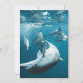 Vrijgezellenfeest van het Zee van Navy Underwater  Kaart (Achterkant)