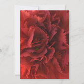 Vrijgezellenfeest van rode anjers kaart (Achterkant)