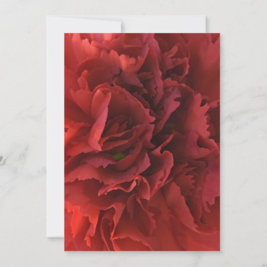 Vrijgezellenfeest van rode Floral Kaart (Achterkant)