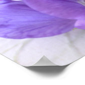 Vrijgezellenfeest van zoete erwten, vers poster (Hoek)