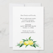 Vrijgezellenfeest Verandering van Plans Lemons Gro Kaart (Achterkant)