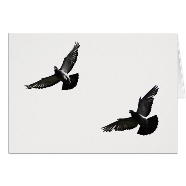 vrijheid (Voorkant Horizontaal)