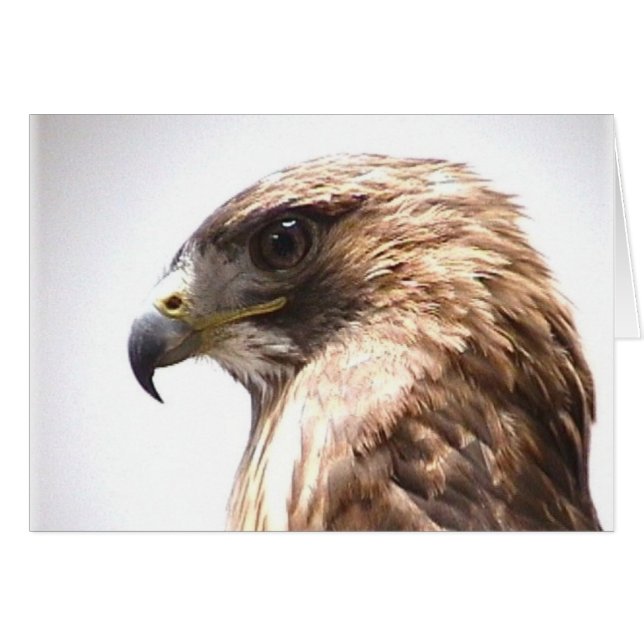 Vrijheid (Voorkant Horizontaal)