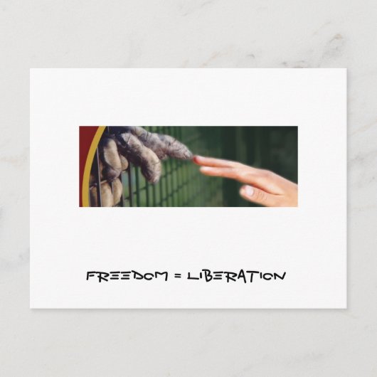 Vrijheid = Bevrijding Briefkaart (Voorkant)