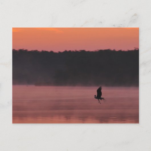 Vrijheid Briefkaart (Voorkant)