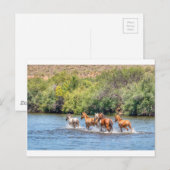 Vrijheid Briefkaart (Voorkant / Achterkant)