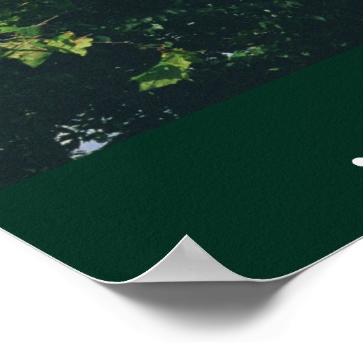 Vrijheid en gerechtigheid voor iedereen poster (Hoek)