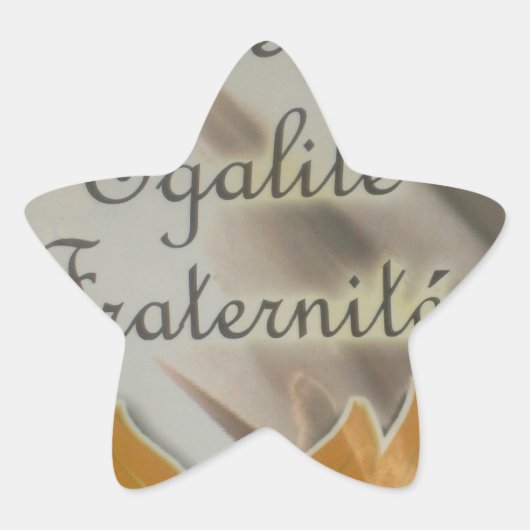 Vrijheid, gelijkheid, broederschap: een bloeiende  ster sticker (Voorkant)