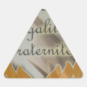 Vrijheid, gelijkheid, broederschap: een bloeiende  sticker (Voorkant)