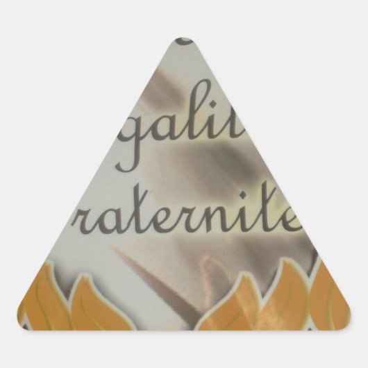 Vrijheid, gelijkheid, broederschap: een bloeiende sticker (Voorkant)