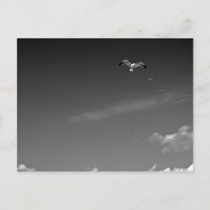 Vrijheid in BW-Briefkaart Briefkaart