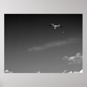 Vrijheid in BW Poster