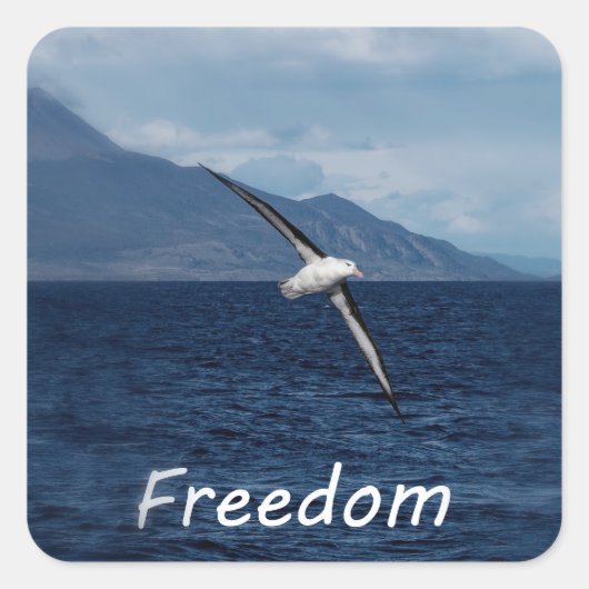 Vrijheid om de oceaan te dwalen vierkante sticker (Voorkant)