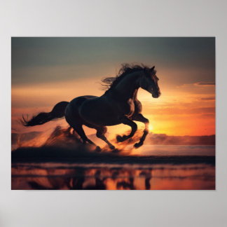 Vrijheid op zand poster