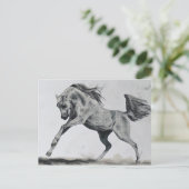 Vrijheid van geest briefkaart (Staand voorkant)