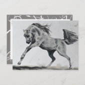 Vrijheid van geest briefkaart (Voorkant / Achterkant)