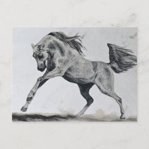 Vrijheid van geest briefkaart