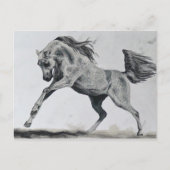 Vrijheid van geest briefkaart (Voorkant)