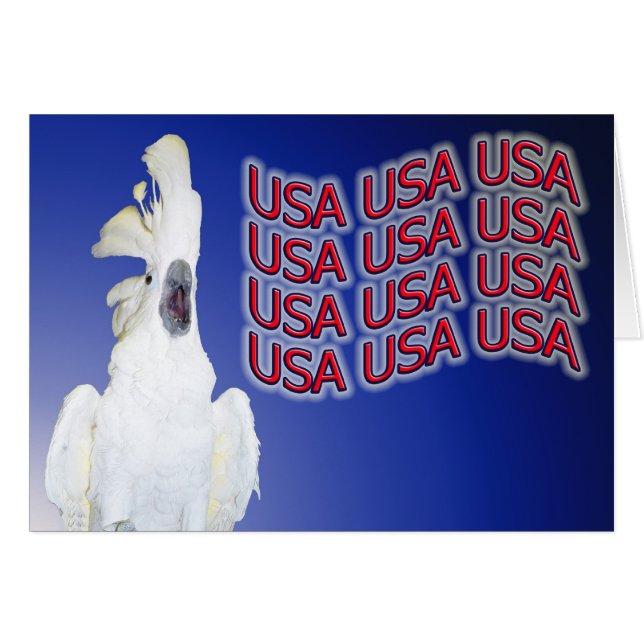 Vrijheid van meningsuiting (Voorkant Horizontaal)