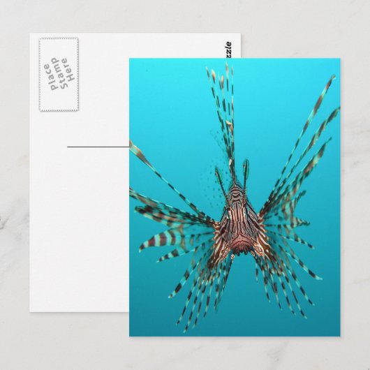 Vrijheid van vissen, vrede en plezier briefkaart (Voorkant / Achterkant)