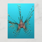 Vrijheid van vissen, vrede en plezier briefkaart (Voorkant)