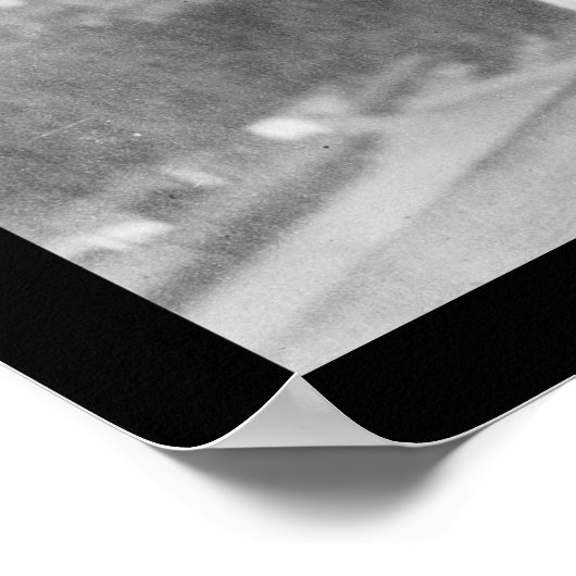 Vrijheidsbeeld bovenop het Capitol 1920 Poster (Hoek)